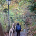 Walking back down the hill