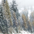 Snowy view from Bertha