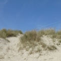 Dunes