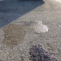 Bertha's oily mishap