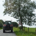 A tractor AND a tree, it doesn't get better than that!