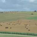 More wholesome scenery (we may have become a little obsessed with hay bails!)