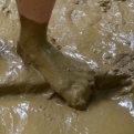 Mud
