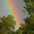 Another of that rainbow (since it was such a corker!)
