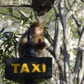A Gibraltarian taxi driver
