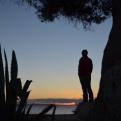 Kiri admires the sunset by her favourite tree