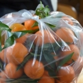 Impulse buy of the week - 64 satsumas! (We got through them all)