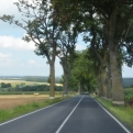 Humm, an avenue of trees, perhaps a little French?