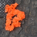 Remnants of King's Day
