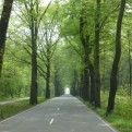 Pretty scenery as we approached Hoge Veluwe, National Park