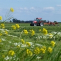 Kiri + camera = pictures of tractors!