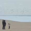 A family on the beach at Santo André, with massive waves!