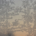One of Bertha's windows the morning after a hoar frost