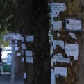 Poster culture in Ruma