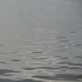 Clear water at the Orava reservoir