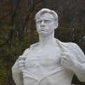 Steve's body double