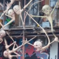 Metelkova - Ljubljana's artistic hub