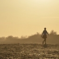 Woman walking on beach