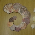 Scallop shells, a symbol of The Way of St James