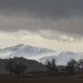View from Bertha - stunning light and snowy mountains