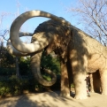 The mammoth that turned out not to be a gorilla