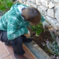 Kiri getting stuck into some gardening at the villa
